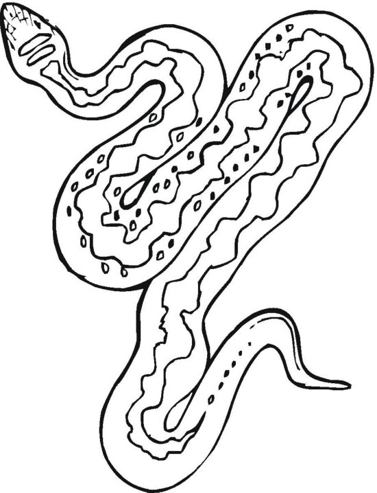 Kolorowanka z wężem