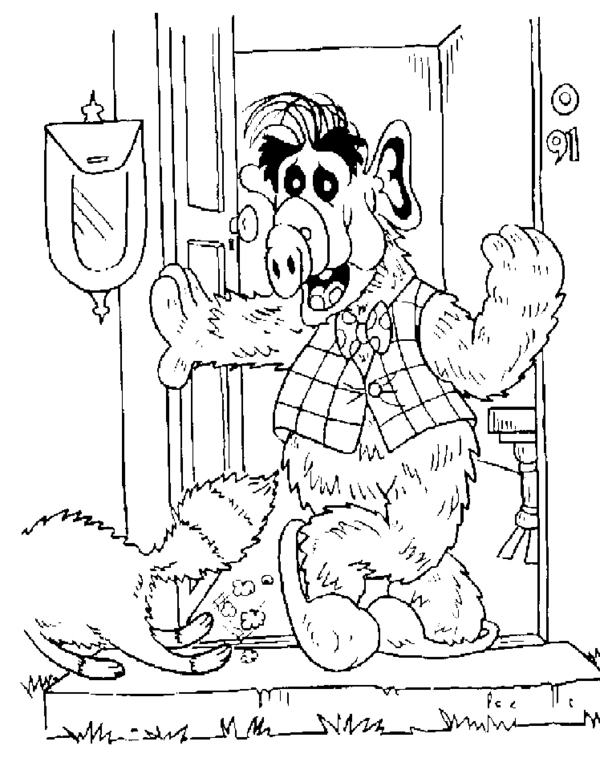 Alf na spacerze