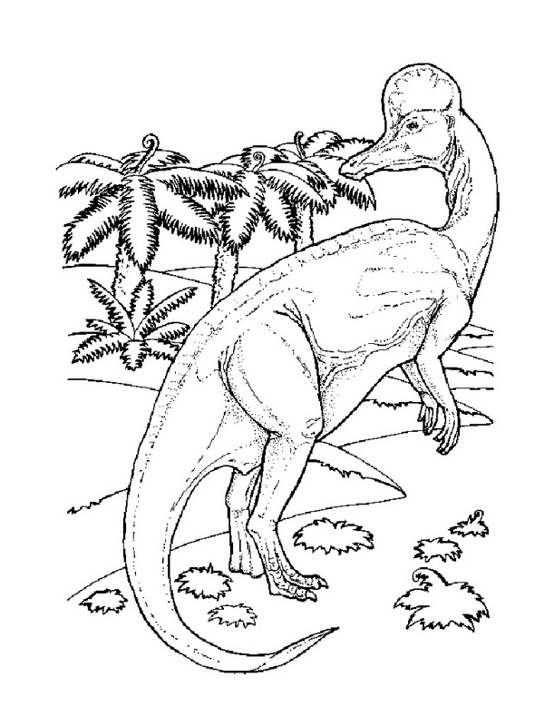 Dinozaury kolorowanka