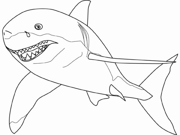 Malowanka z rekinem