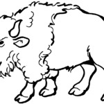 Żubr