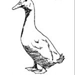 Gąska