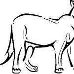 Puma Gra