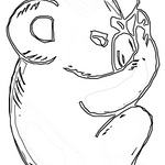 Koala na kolorowance